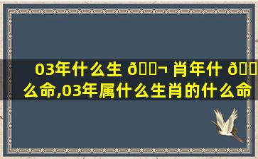 03年什么生 🐬 肖年什 🐦 么命,03年属什么生肖的什么命